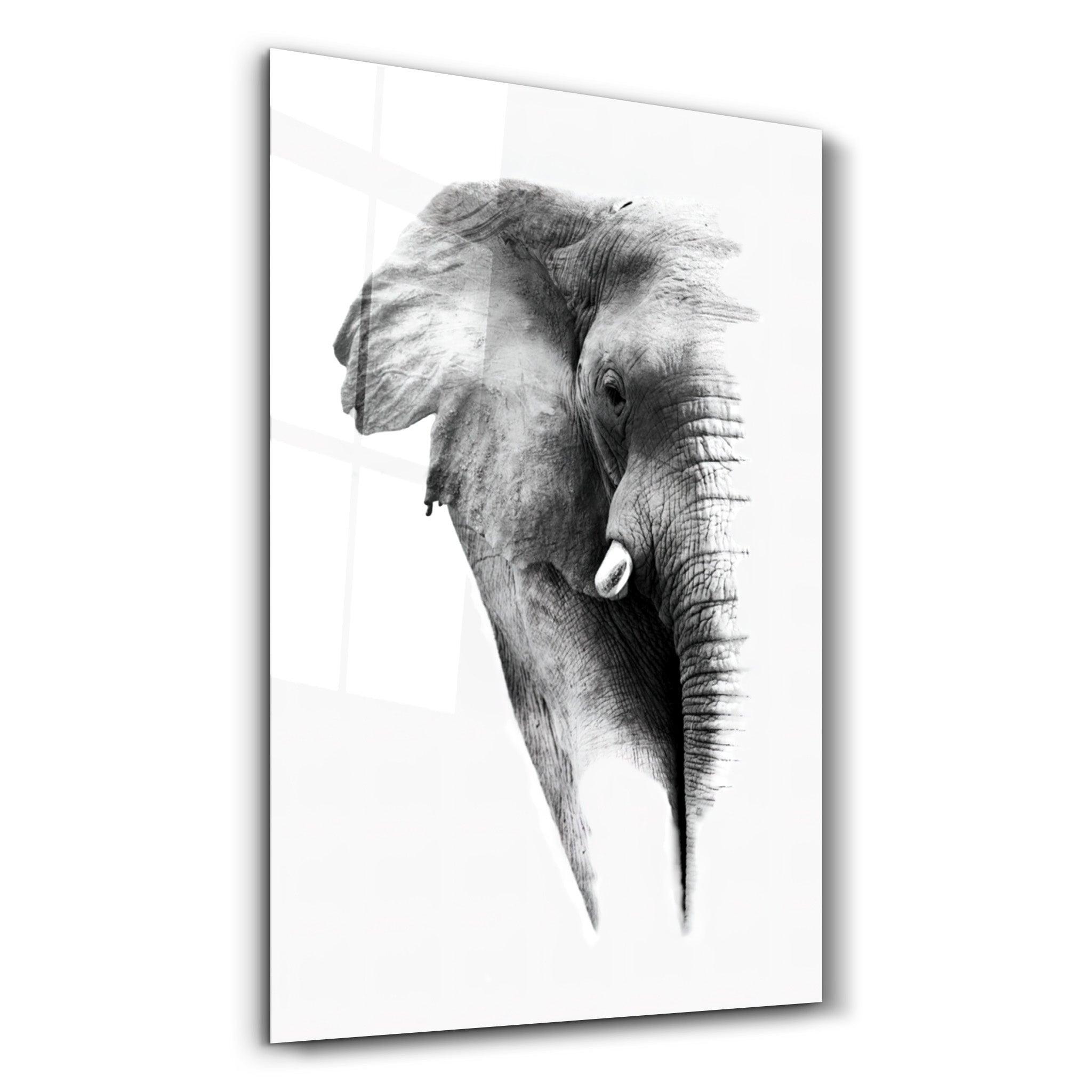 Elephant V2 Glass Wall Art | ArtDesigna – Artdesigna
