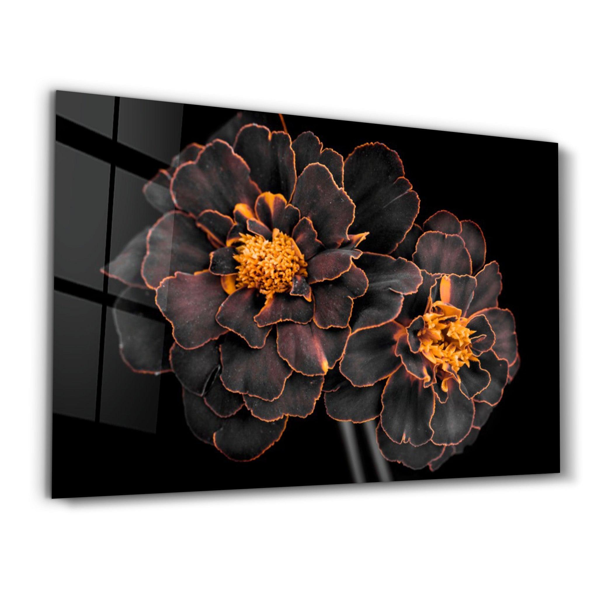 Schwarze und Gelbe Blumen Glasbild kaufen