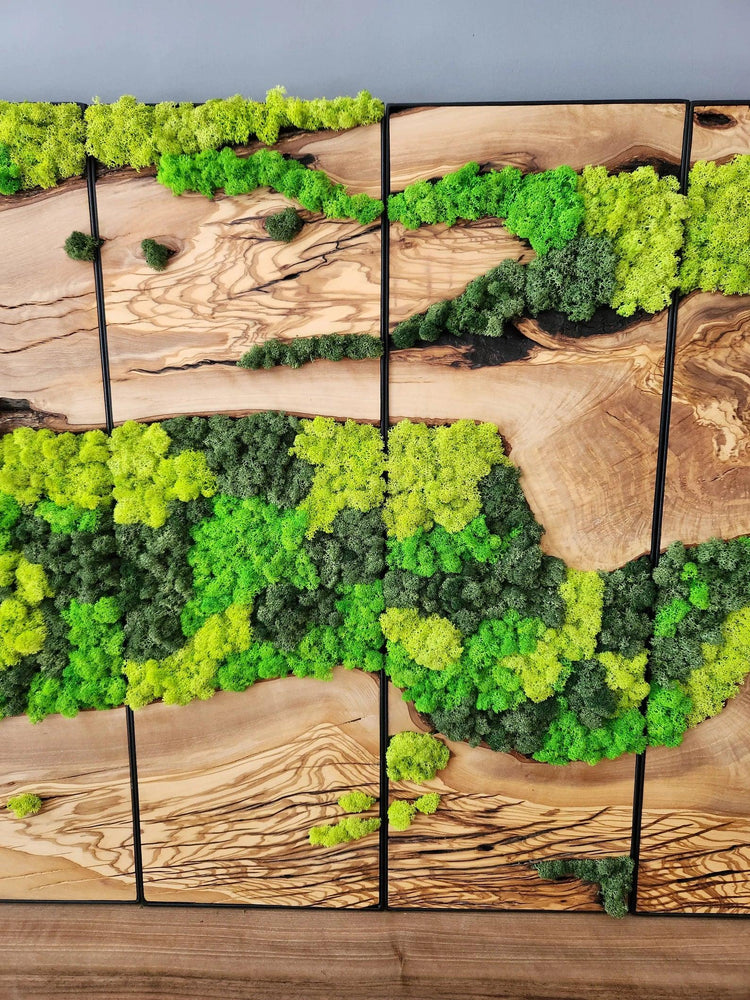 Unexplored Moss Forest | Premium Handmade Wall Sculptures - ArtDesigna Glass Printing Wall Art