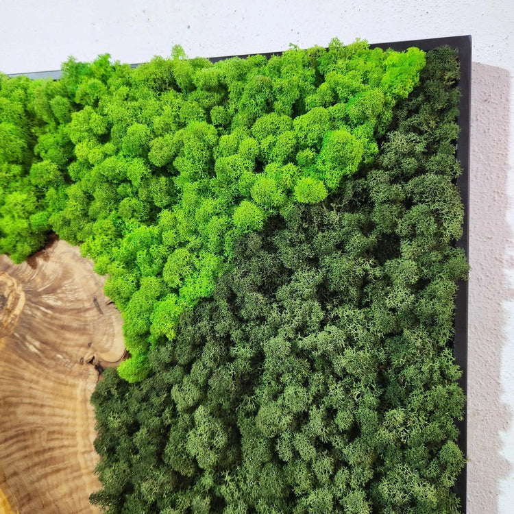 Moss and Olive Wood Wall Art 3 Colors | Premium Handmade Wall Sculptures - ArtDesigna Glass Printing Wall Art