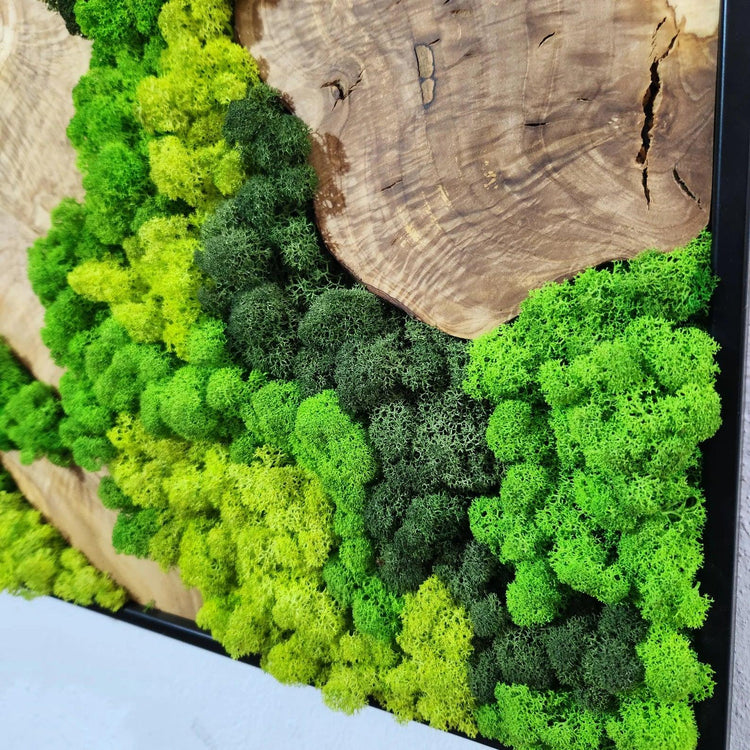 Moss and Olive Wood Wall Art 3 Colors | Premium Handmade Wall Sculptures - ArtDesigna Glass Printing Wall Art