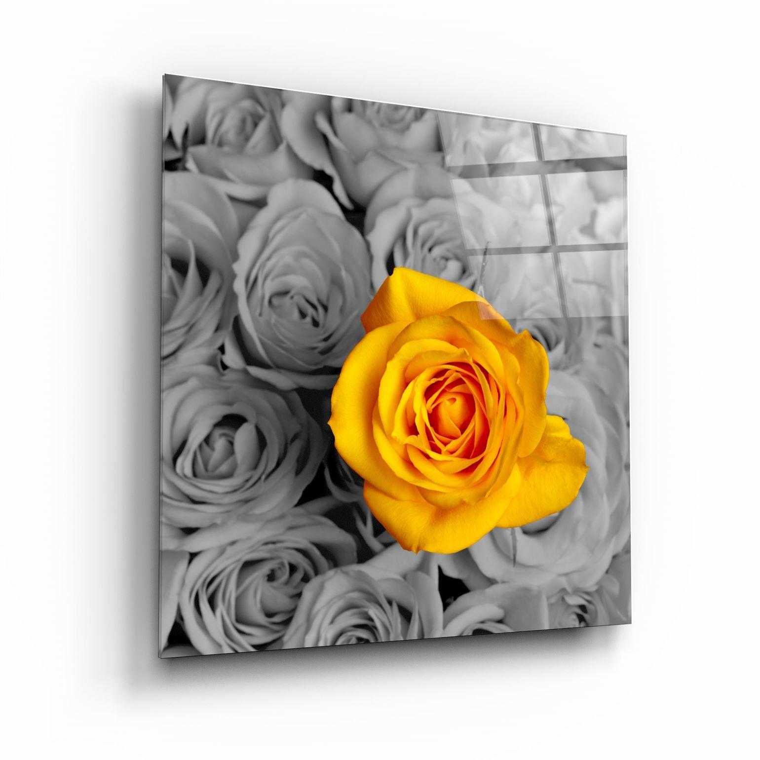 ・"Yellow Rose"・Glass Wall Art - ArtDesigna Glass Printing Wall Art