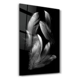 White Feathers | Glass Wall Art