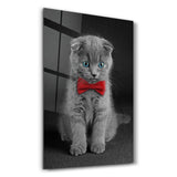 Cat with Bow Tie | Glass Wall Art