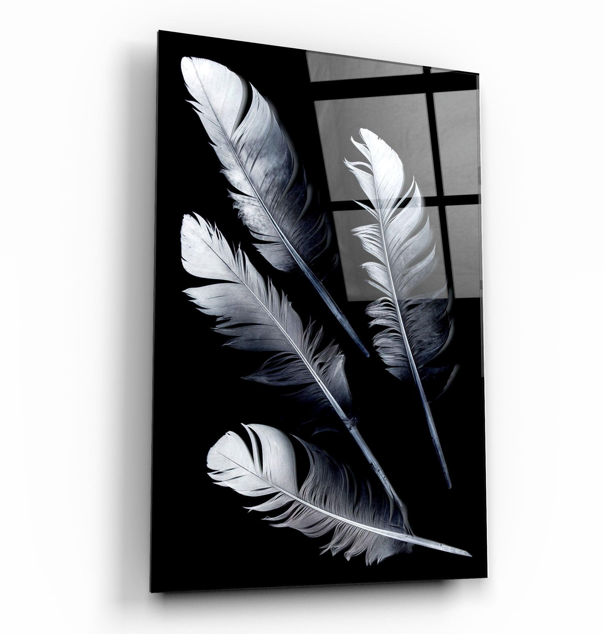 White Feathers | Glass Wall Art - Artdesigna