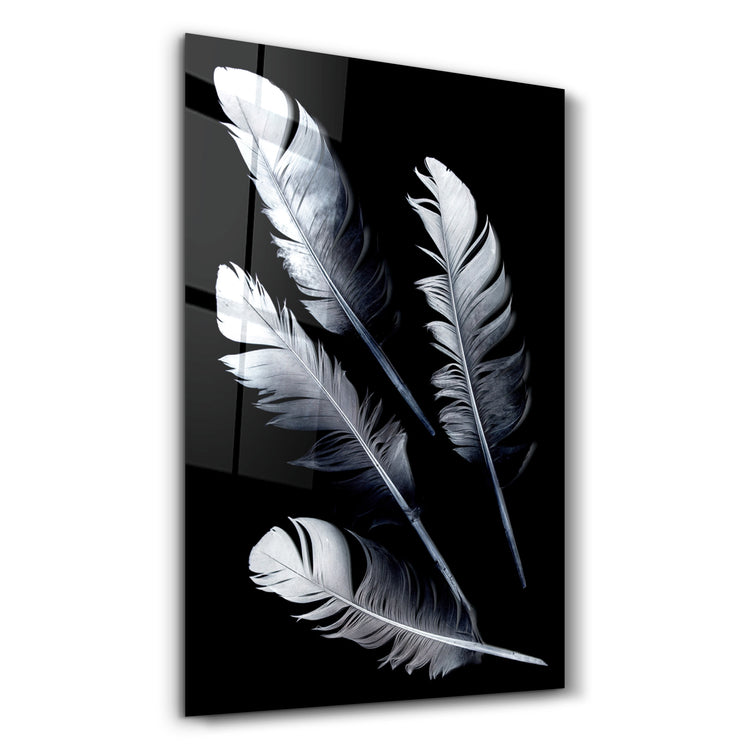 ・"White Feathers"・Glass Wall Art - ArtDesigna Glass Printing Wall Art