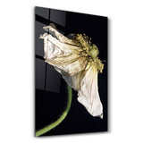 In Peril Of One's Life | Glass Wall Art