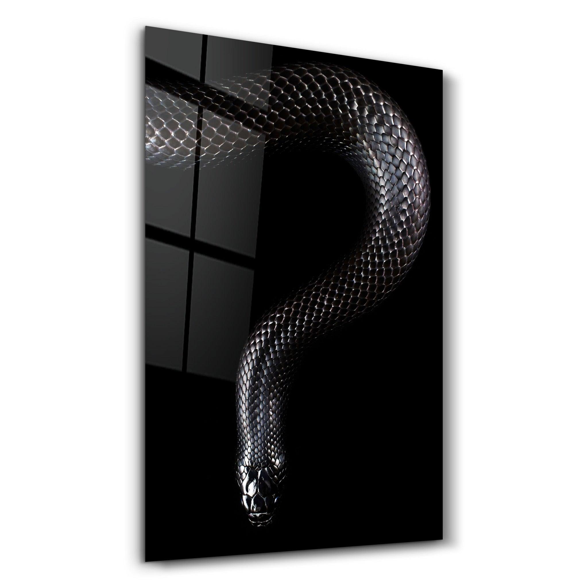 The black Mamba | Glass Wall Art - ArtDesigna Glass Printing Wall Art