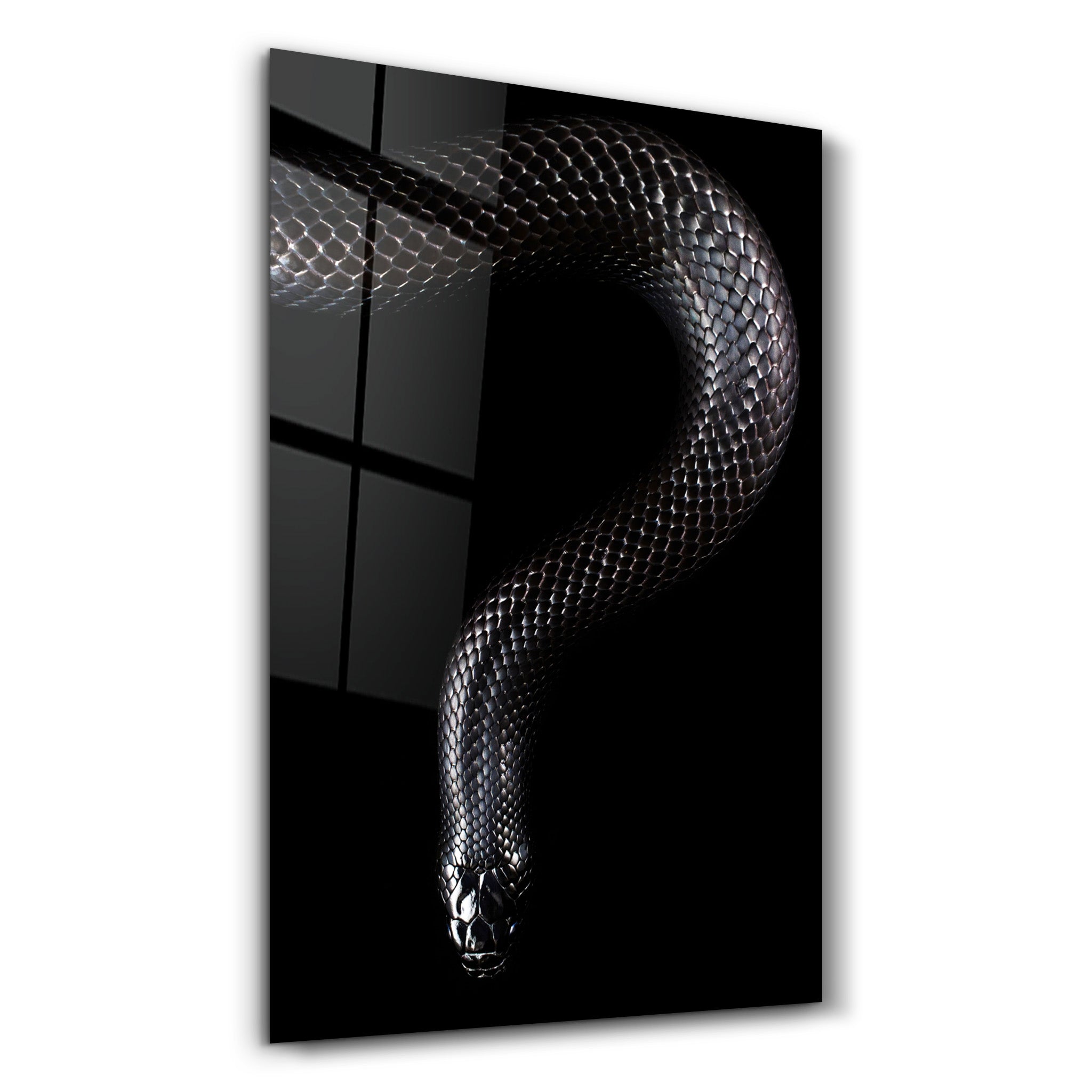 ・"The black Mamba"・Glass Wall Art - ArtDesigna Glass Printing Wall Art