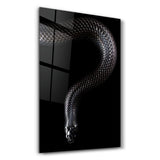 Die Schwarze Mamba – Glasbild
