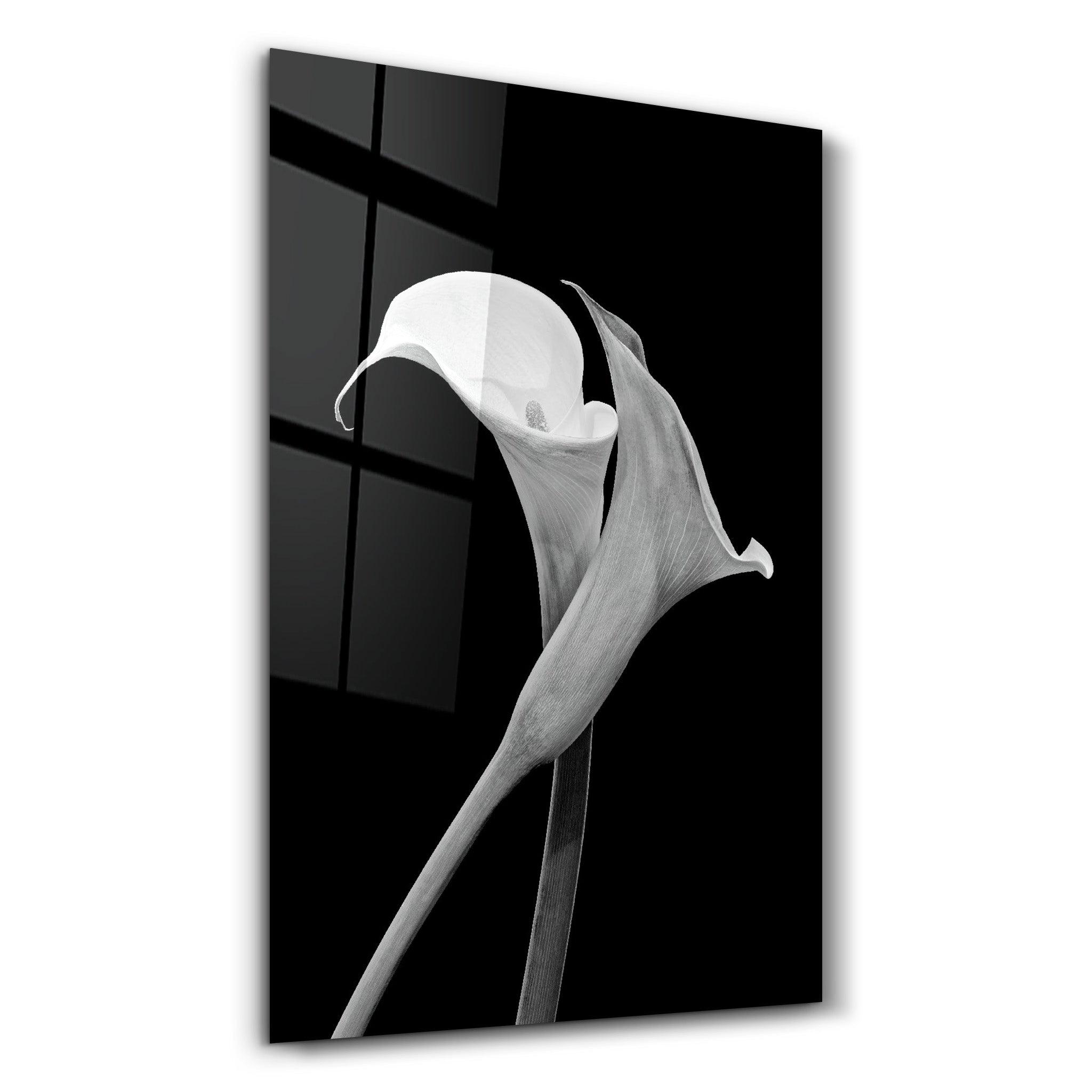 Arum Lily | Glass Wall Art - ArtDesigna Glass Printing Wall Art