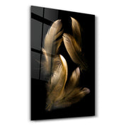 Tan Feather | Glass Wall Art - ArtDesigna Glass Printing Wall Art