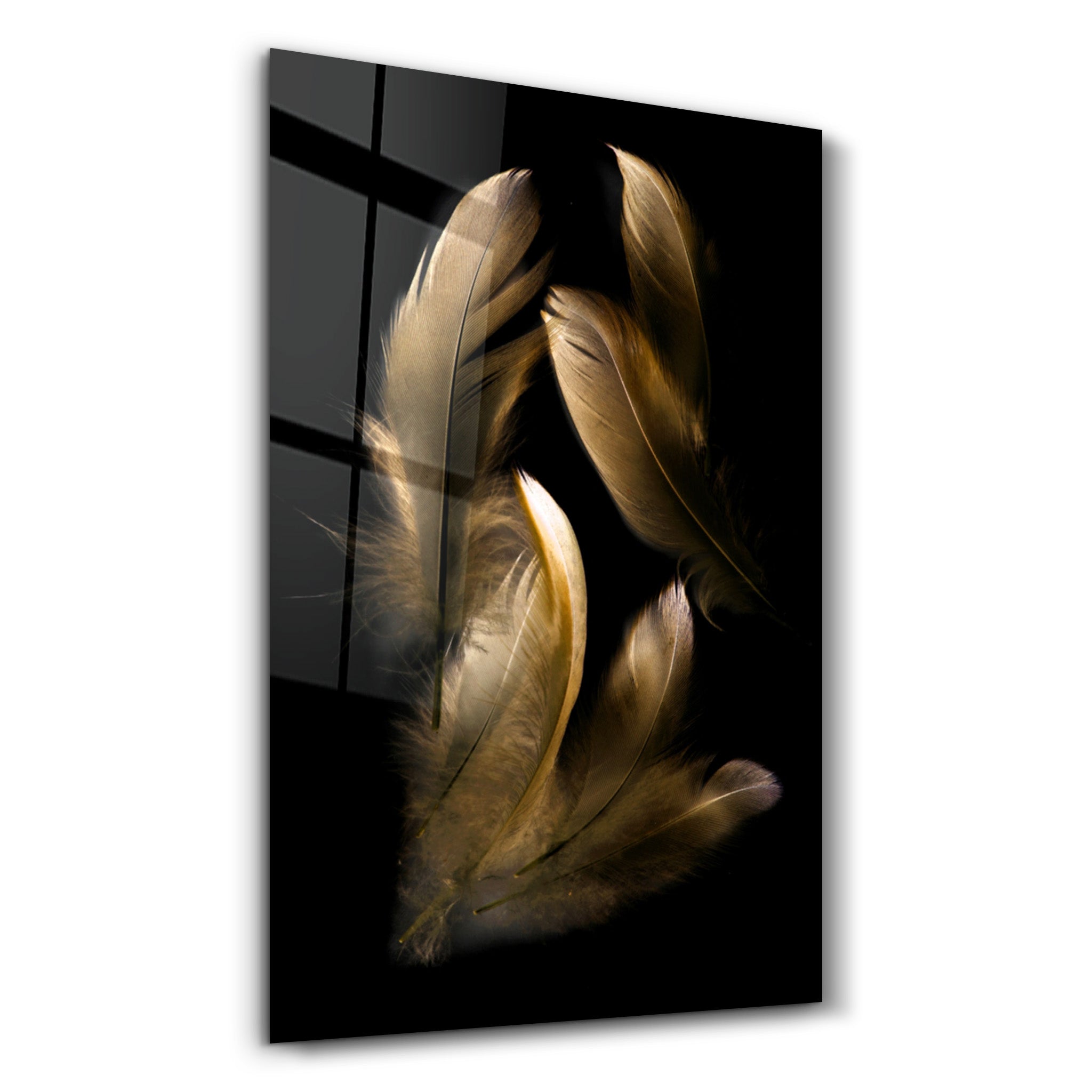 ・"Tan Feather"・Glass Wall Art - ArtDesigna Glass Printing Wall Art