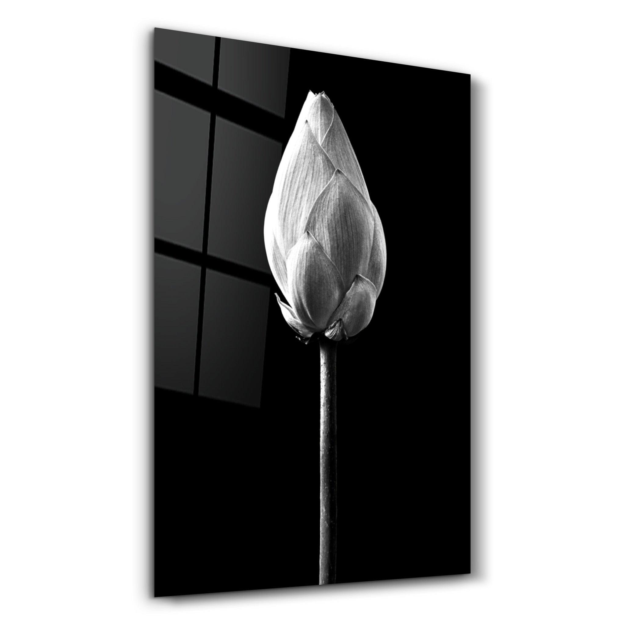 Flower | Glass Wall Art - ArtDesigna Glass Printing Wall Art