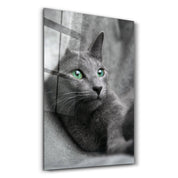 Cat 2 | Glass Wall Art - ArtDesigna Glass Printing Wall Art
