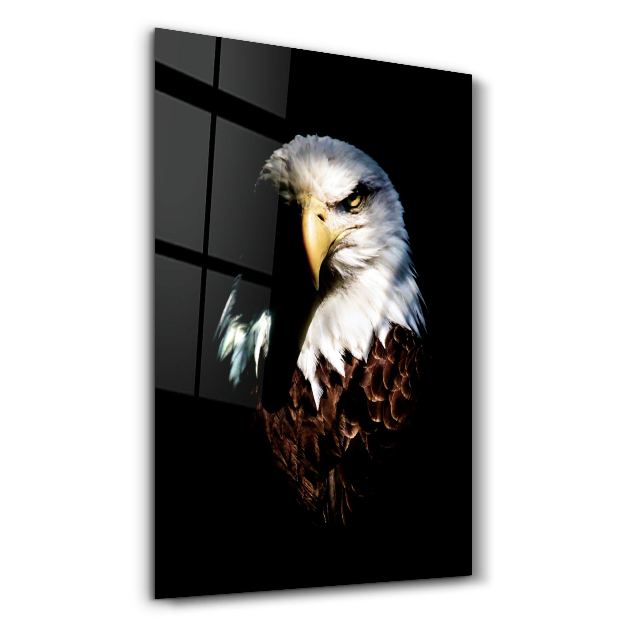 ・"Eagle"・Glass Wall Art - ArtDesigna Glass Printing Wall Art
