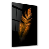 Orangefarbene Feder – Glasbild