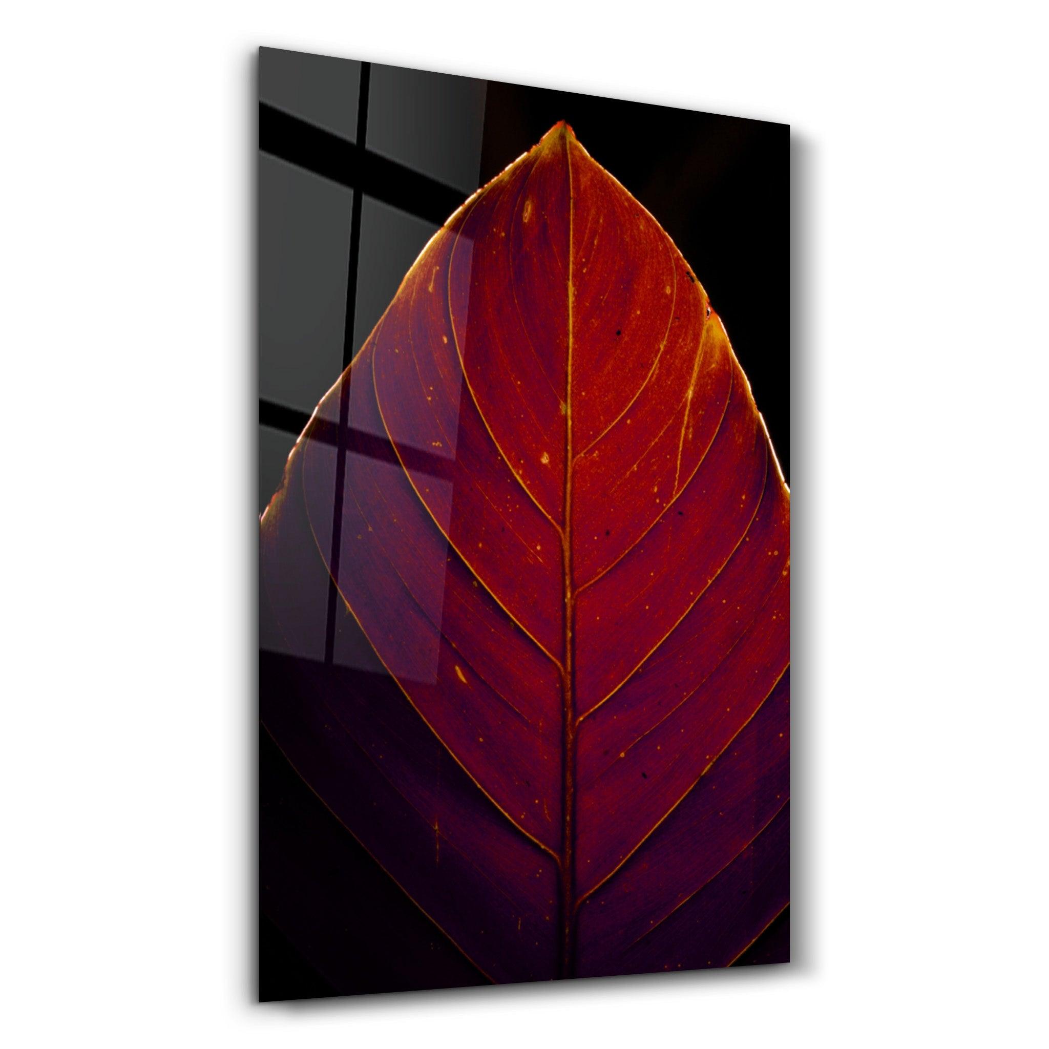 Leaf v2 | Glass Wall Art - ArtDesigna Glass Printing Wall Art