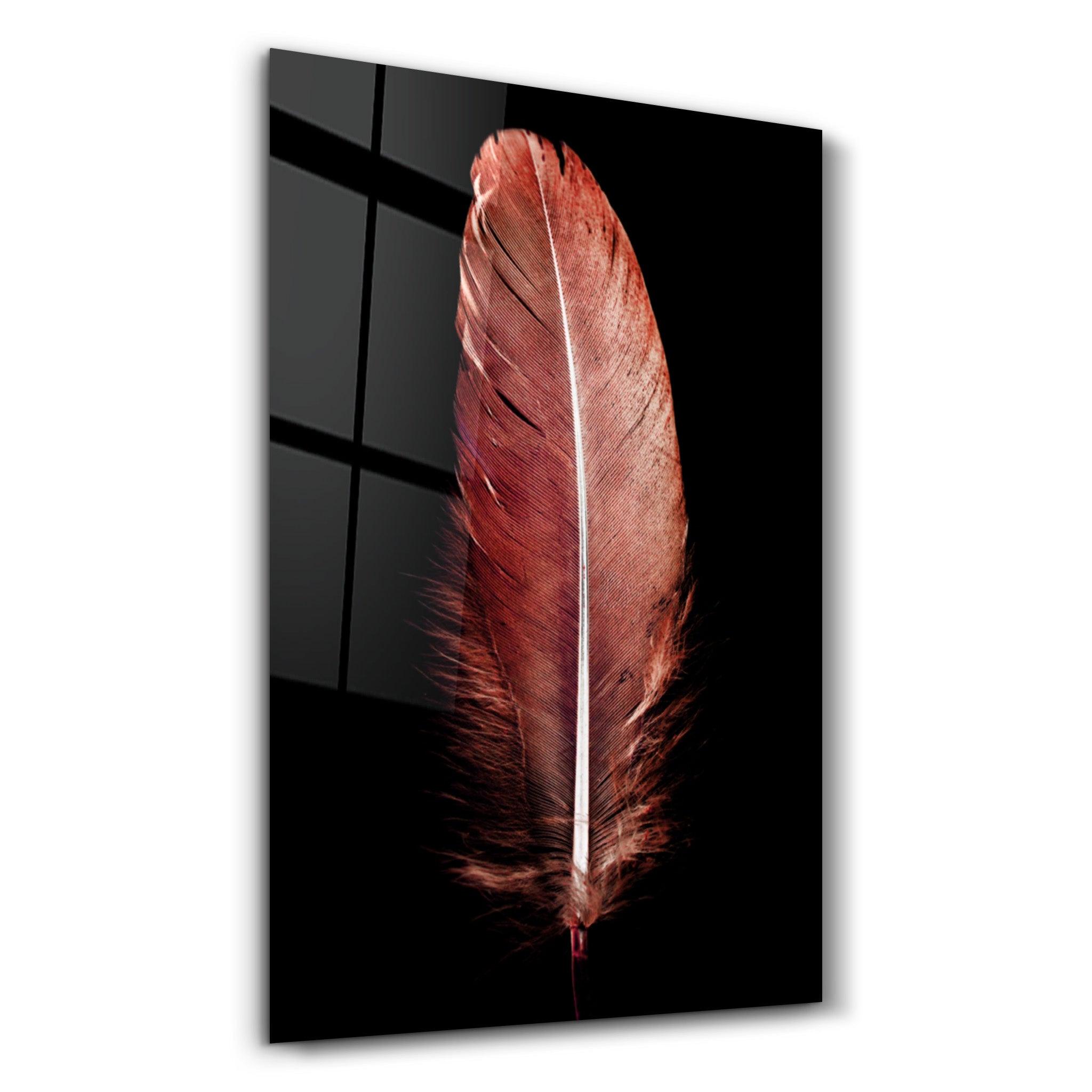 Colorful Feather V2 | Glass Wall Art - ArtDesigna Glass Printing Wall Art