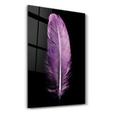 Colorful Feather V3 | Glass Wall Art