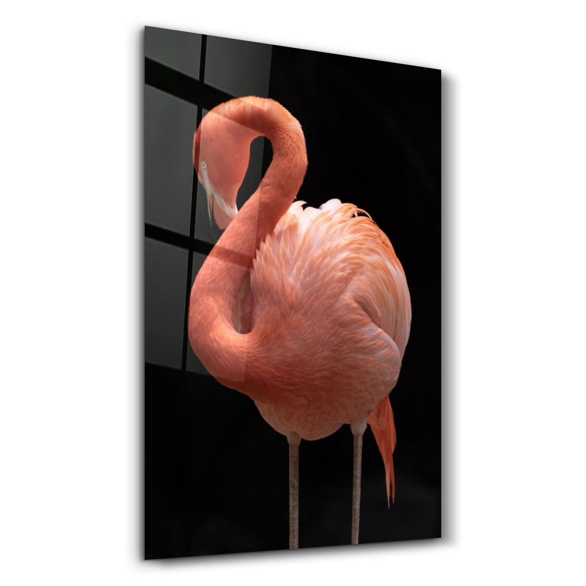 Flamingo V2 | Glass Wall Art - ArtDesigna Glass Printing Wall Art