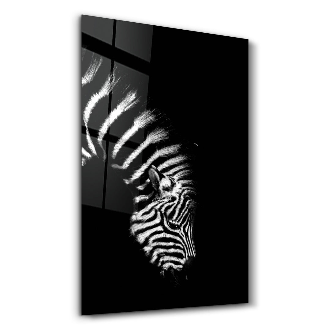 ・"Young Zebra"・Glass Wall Art - ArtDesigna Glass Printing Wall Art
