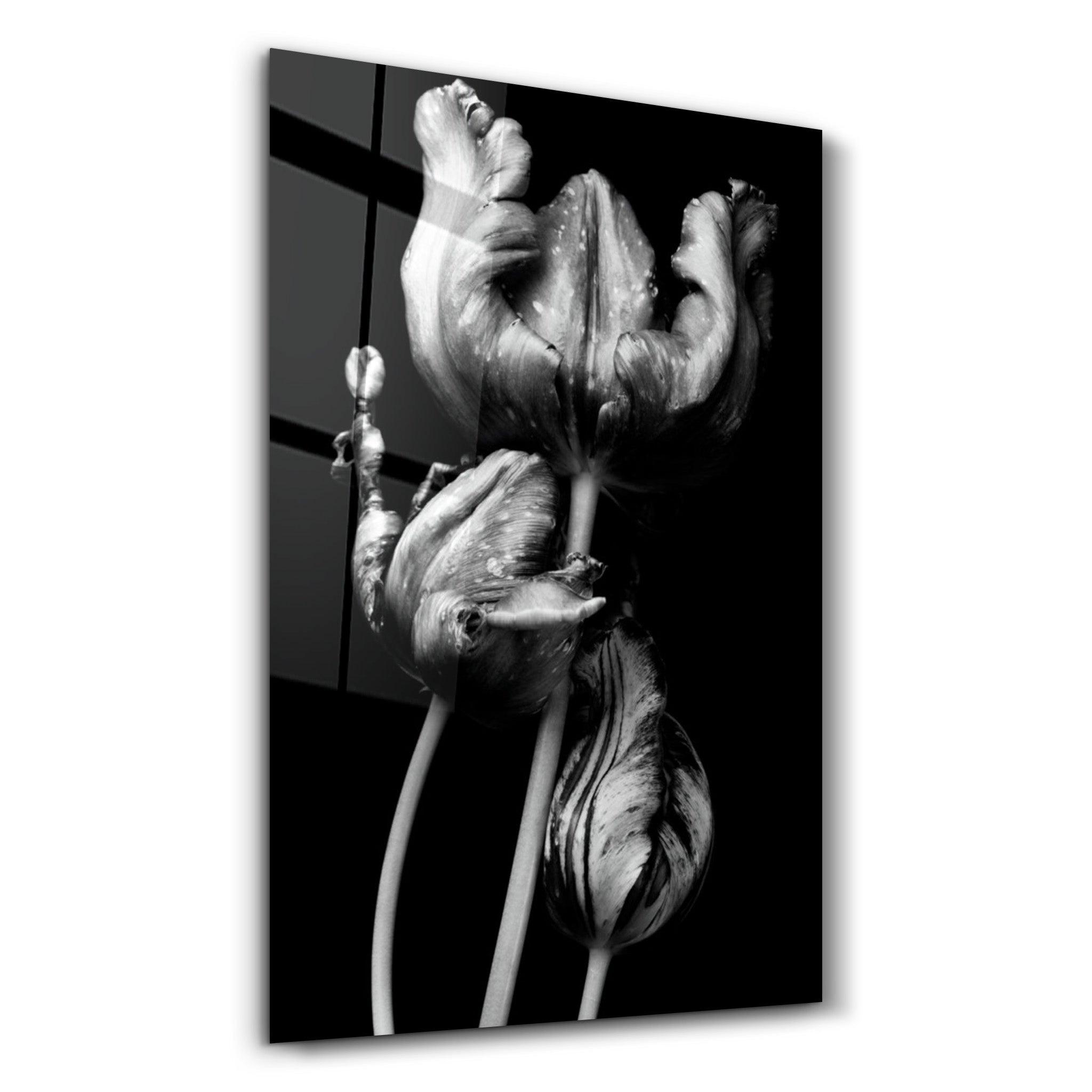 Black - White Flower 2 | Glass Wall Art - ArtDesigna Glass Printing Wall Art
