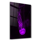 Jellyfish | Glass Wall Art