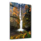 Nature All | Designer's Collection Glass Wall Art