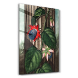 Robert John Thornton - The Winged Passion Flower - 1799 | Gallery Print Collection Glass Wall Art