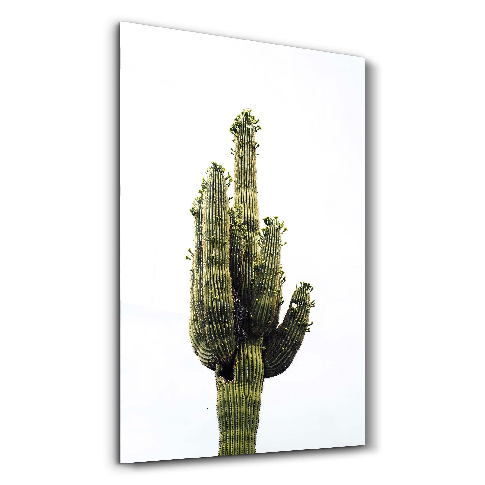 Giant Cactus | Glass Wall Art - ArtDesigna Glass Printing Wall Art