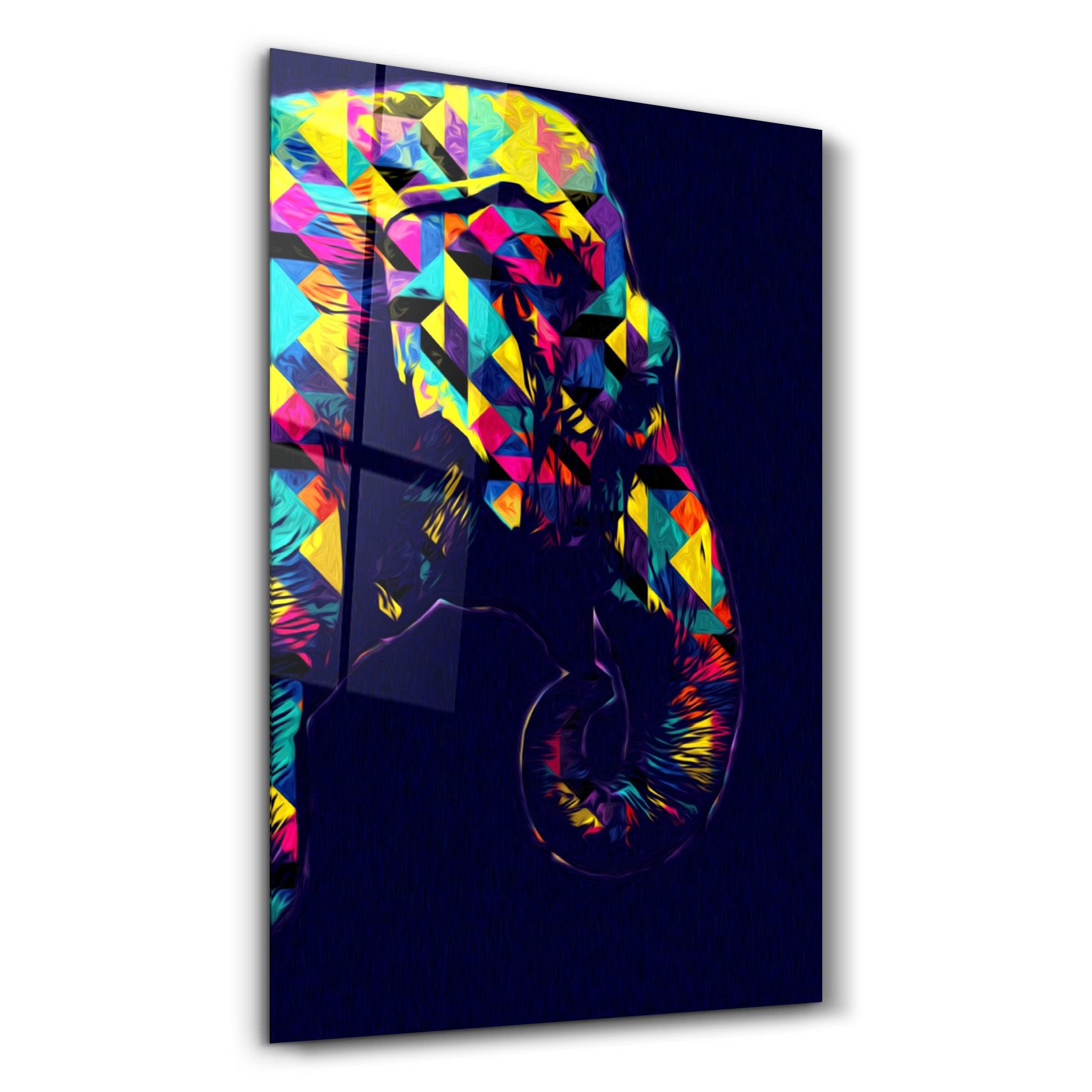Colormix Elephant Portrait | Glass Wall Art - ArtDesigna Glass Printing Wall Art