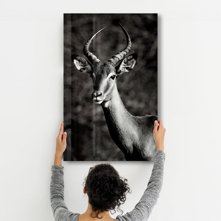 ・"Antilope Black and White"・Glass Wall Art - ArtDesigna Glass Printing Wall Art