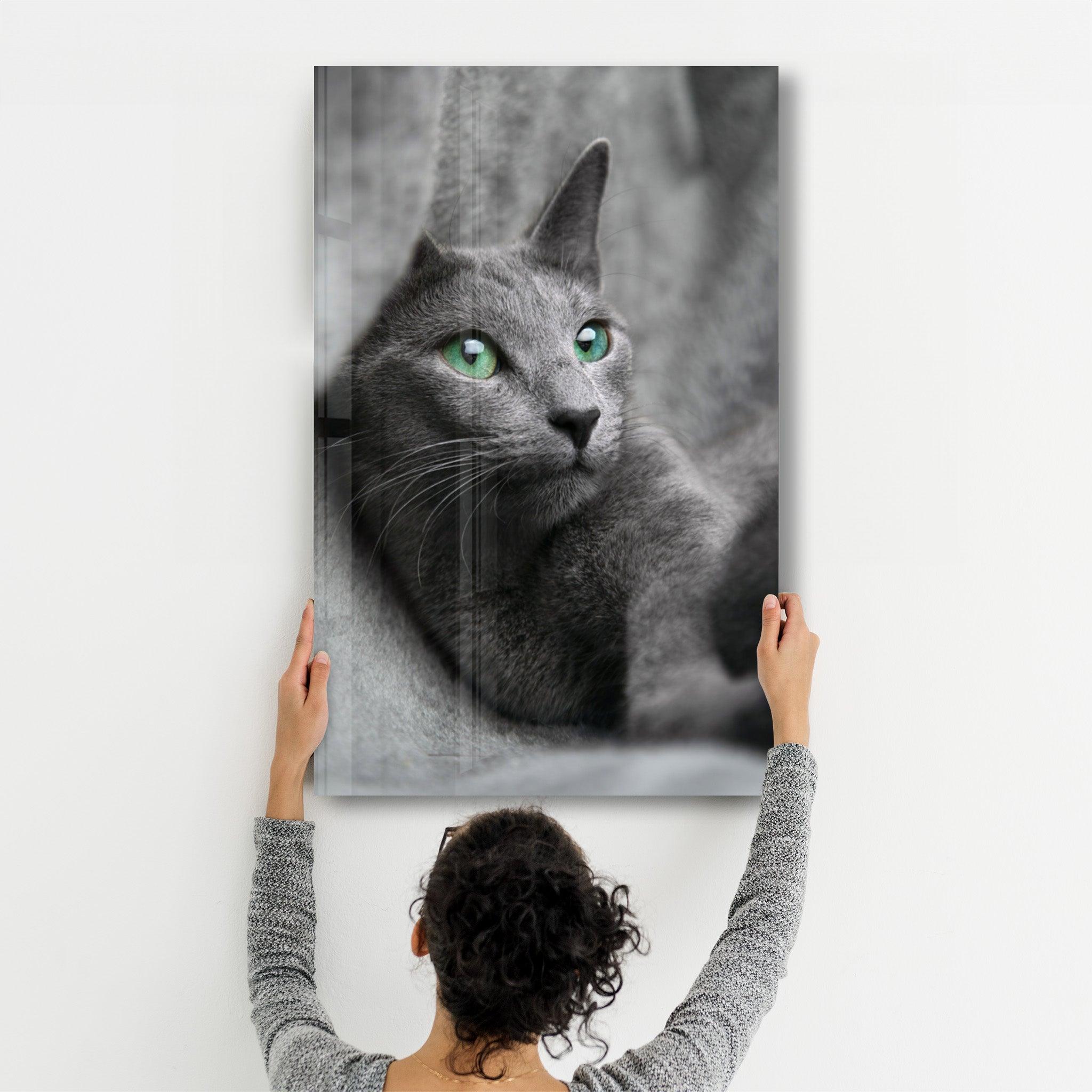 Cat 2 | Glass Wall Art - ArtDesigna Glass Printing Wall Art