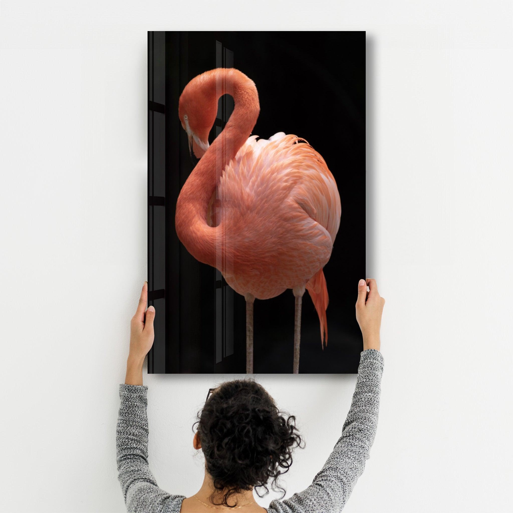 Flamingo V2 | Glass Wall Art - ArtDesigna Glass Printing Wall Art