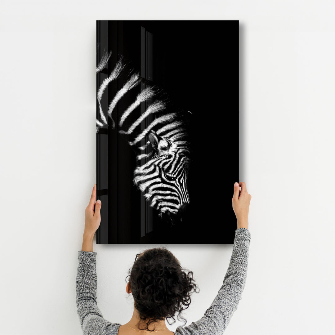・"Young Zebra"・Glass Wall Art - ArtDesigna Glass Printing Wall Art