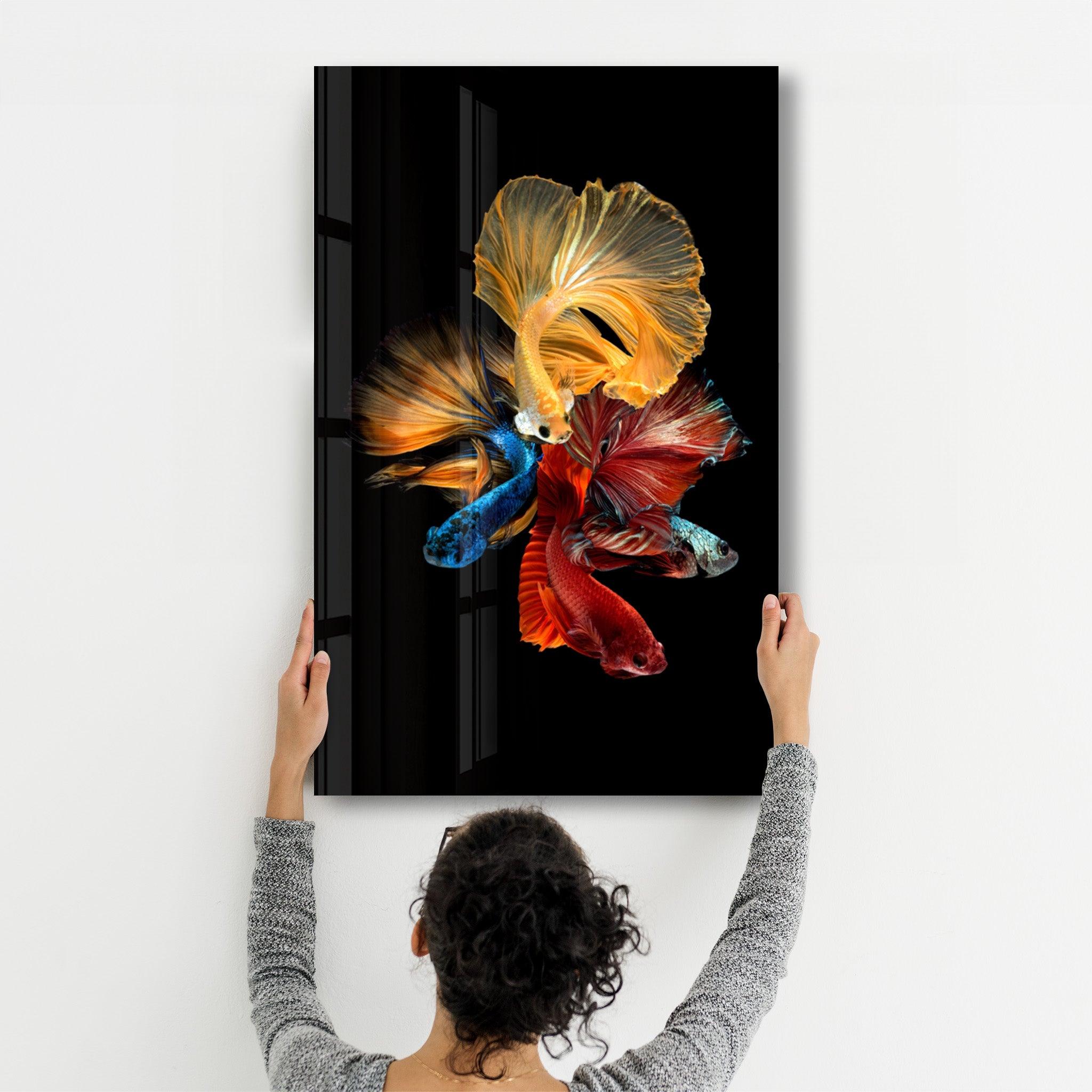 Betta Fish V2 | Glass Wall Art - ArtDesigna Glass Printing Wall Art