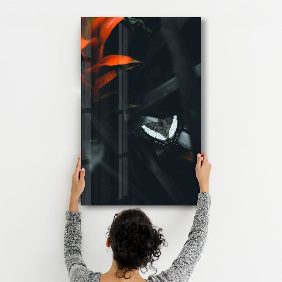 ・"Black Butterfly"・Designer's Collection Glass Wall Art - ArtDesigna Glass Printing Wall Art