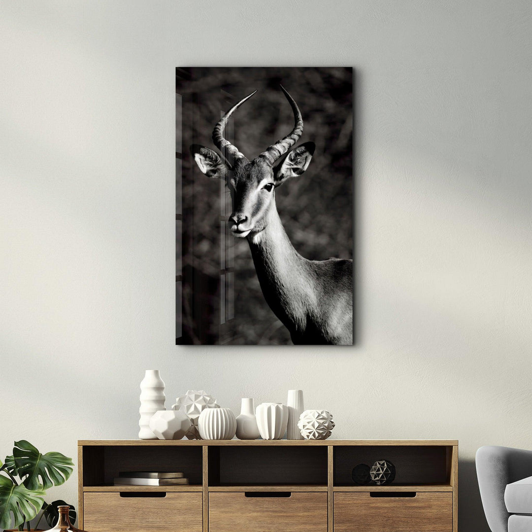 ・"Antilope Black and White"・Glass Wall Art - ArtDesigna Glass Printing Wall Art