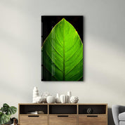 Green Leaf 1 | Glass Wall Art - ArtDesigna Glass Printing Wall Art