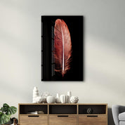 Colorful Feather V2 | Glass Wall Art - ArtDesigna Glass Printing Wall Art