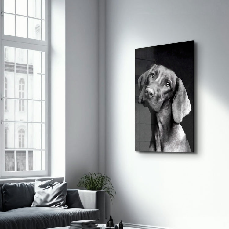 ・"Innocent Dog"・Glass Wall Art - ArtDesigna Glass Printing Wall Art