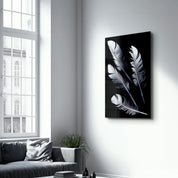 White Feathers | Glass Wall Art - ArtDesigna Glass Printing Wall Art