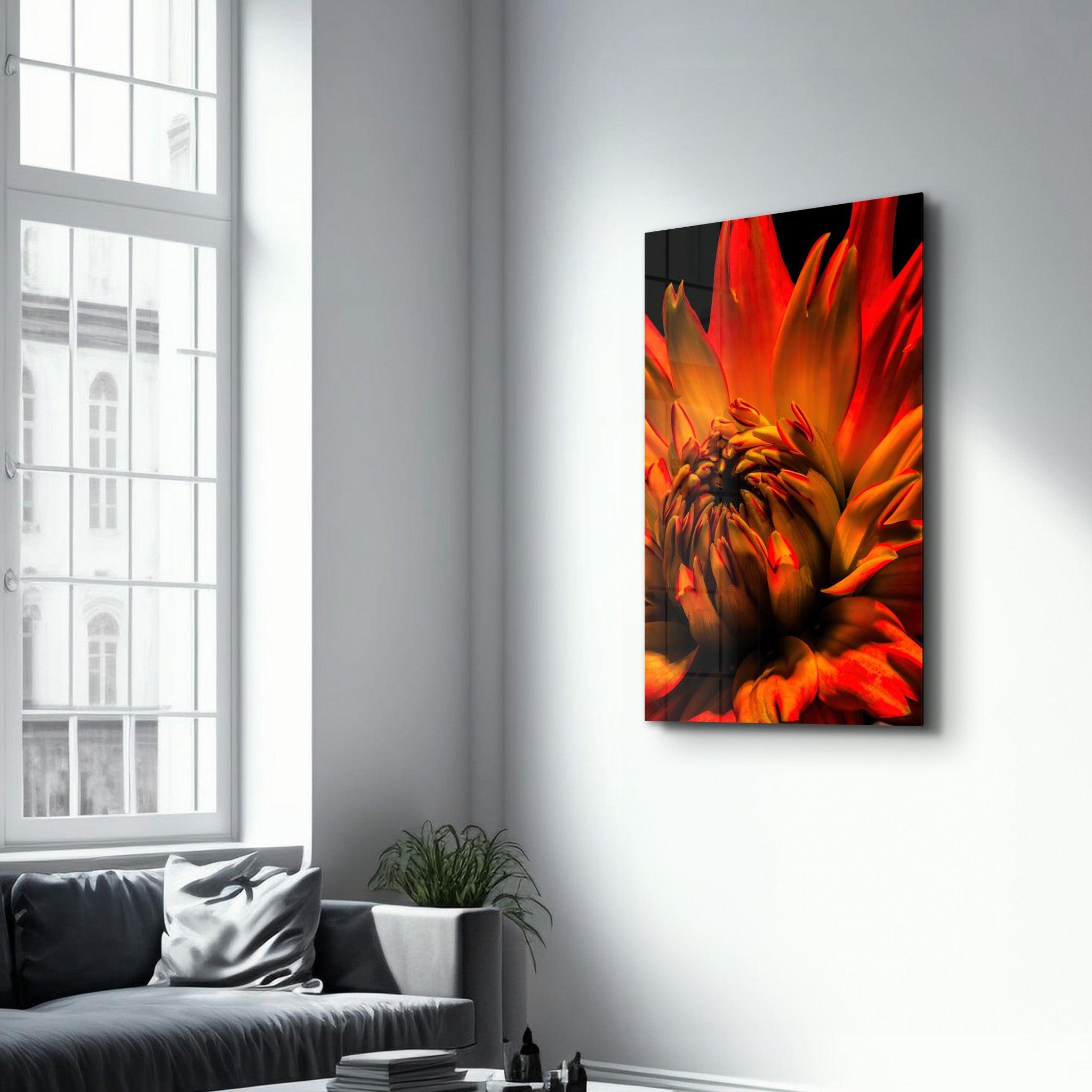 Orange Daisy | Glass Wall Art - ArtDesigna Glass Printing Wall Art