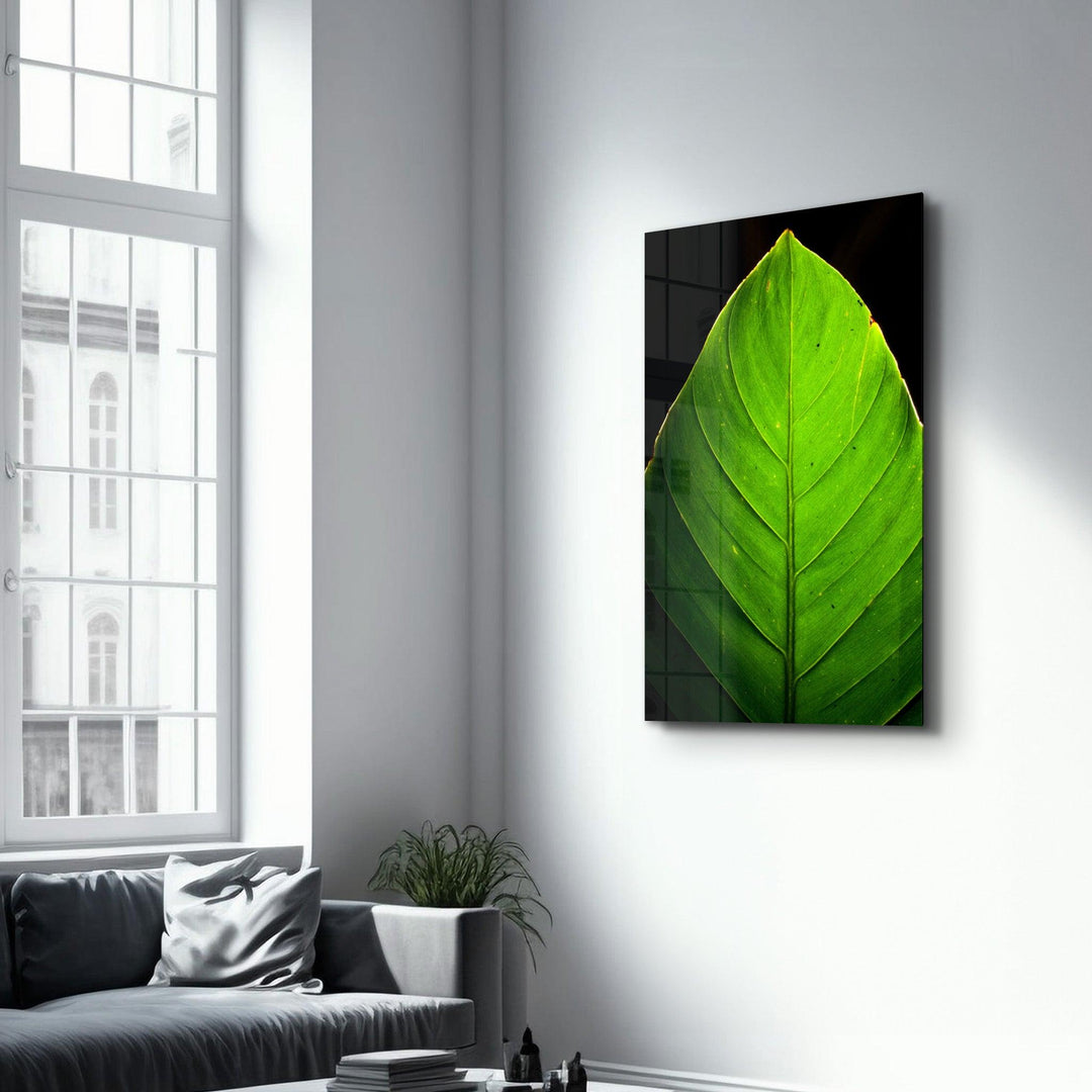 ・"Green Leaf 1"・Glass Wall Art - ArtDesigna Glass Printing Wall Art