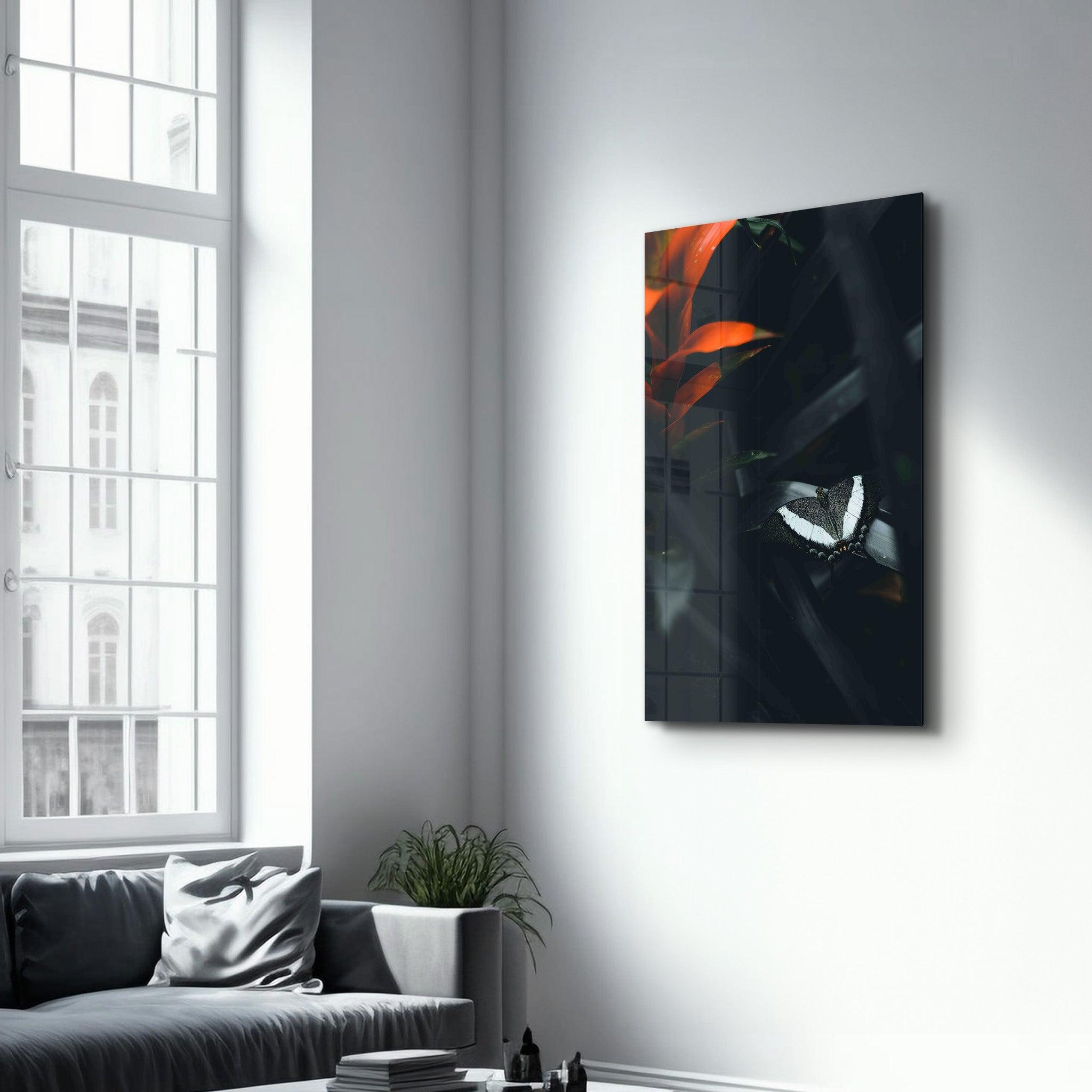Black Butterfly | Designer's Collection Glass Wall Art - ArtDesigna Glass Printing Wall Art