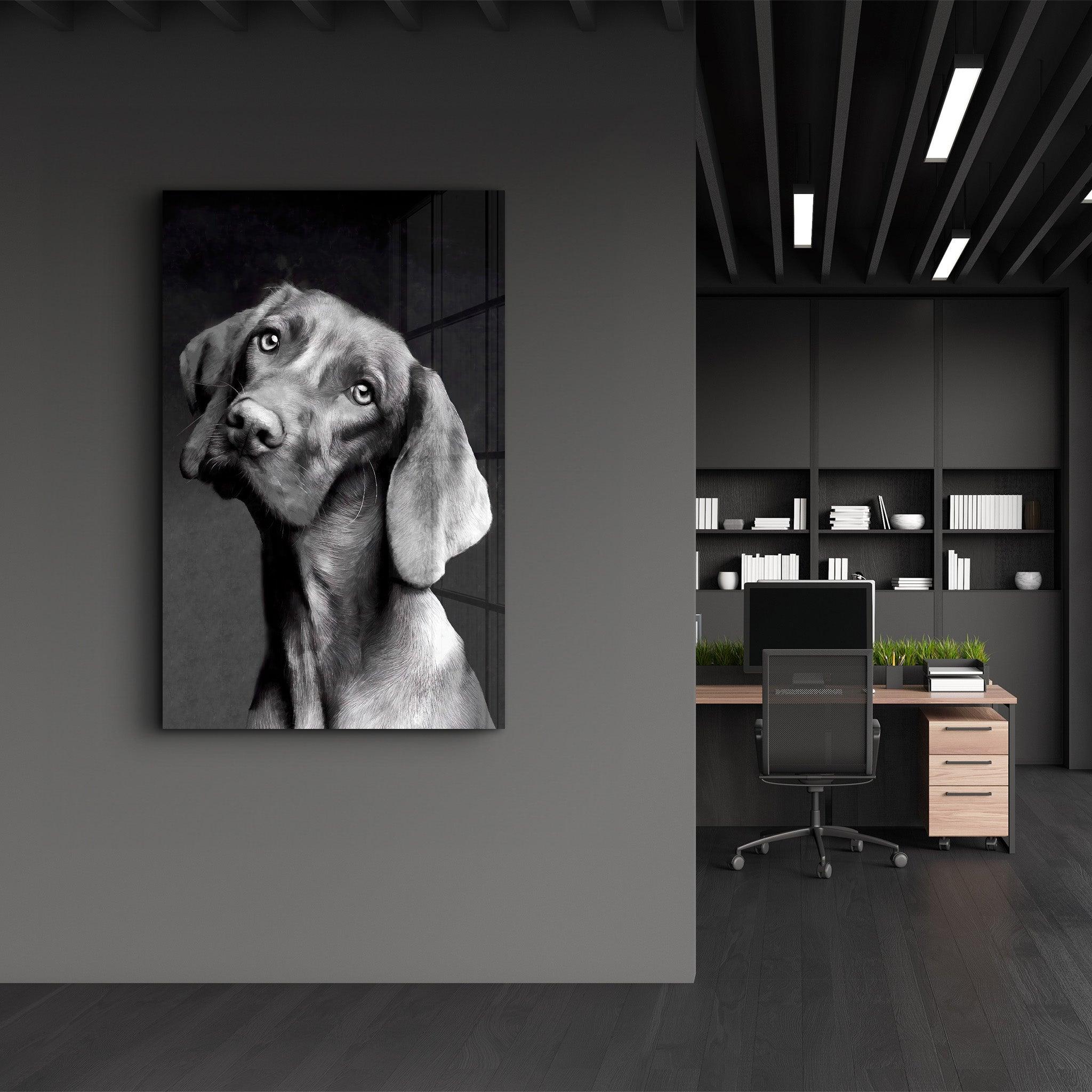 Innocent Dog | Glass Wall Art - ArtDesigna Glass Printing Wall Art