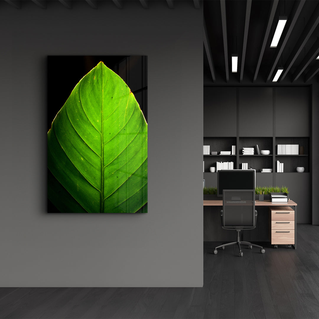 ・"Green Leaf 1"・Glass Wall Art - ArtDesigna Glass Printing Wall Art