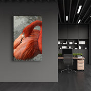 Flamingo V3 | Glass Wall Art - ArtDesigna Glass Printing Wall Art