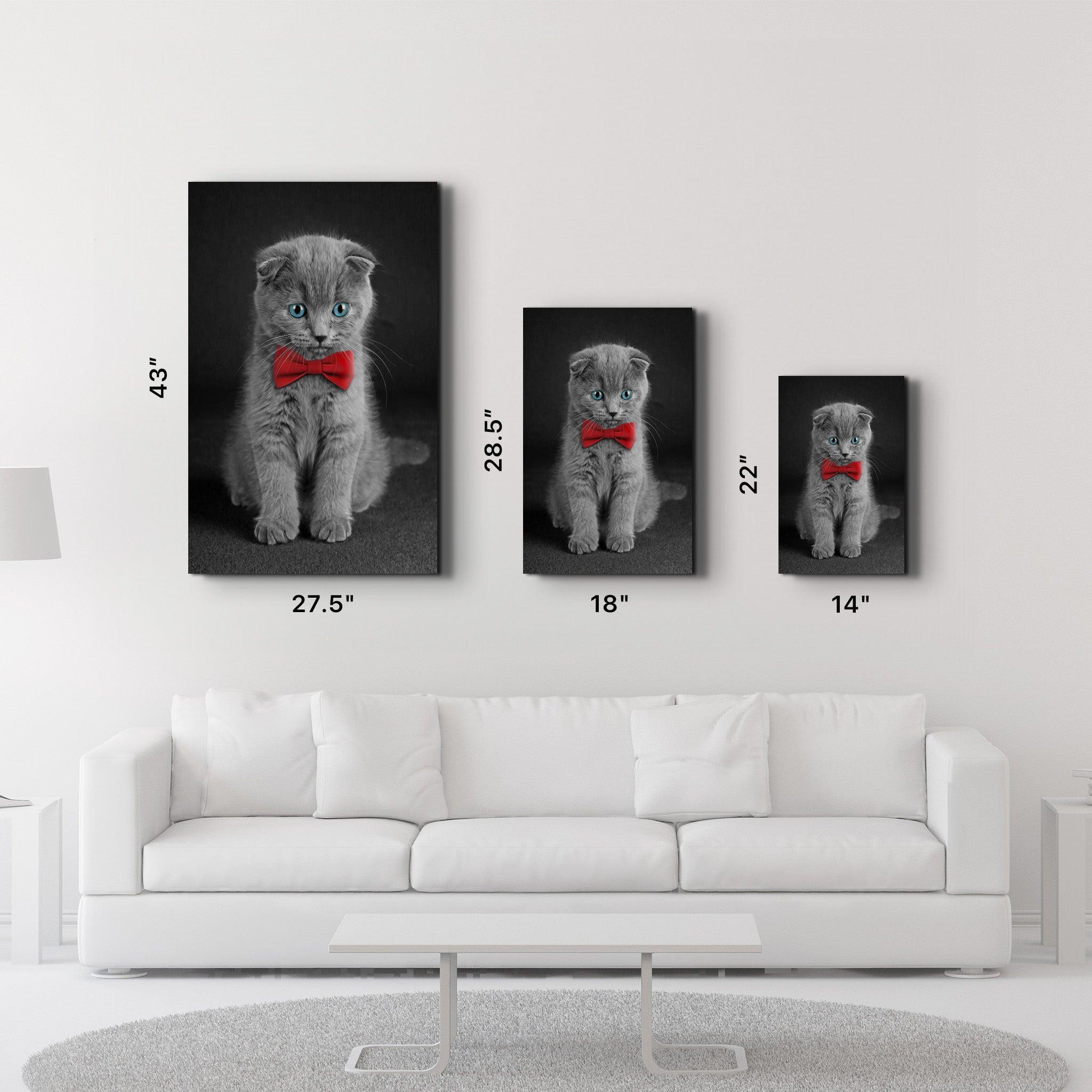 Cat with Bow Tie | Glass Wall Art - ArtDesigna Glass Printing Wall Art